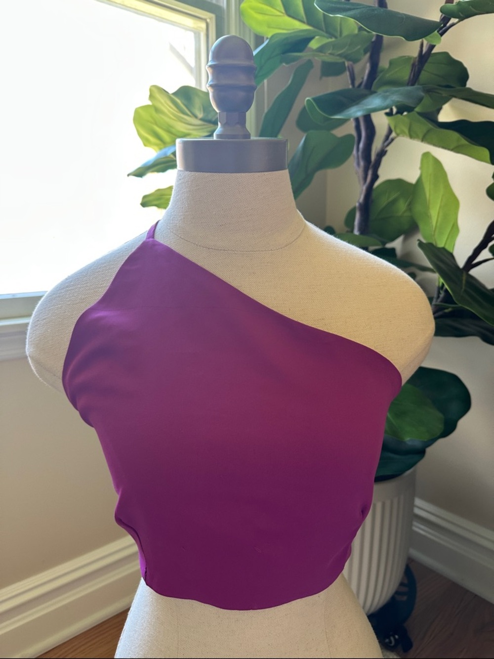 Nasty Gal Sexy Statement Top